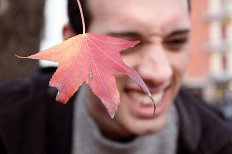 Autumn leaves under frozen soles.