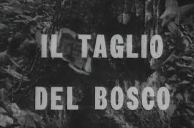 Racconti dell'Italia di oggi - Il taglio del bosco