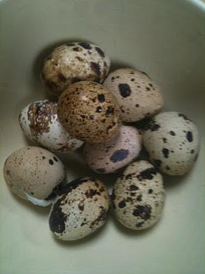 Insalata golosa con uova di quaglia