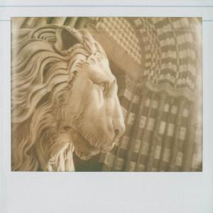 Polaroiders Fundraising for Genova – First auction reminder