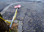 vuoi multa? Sconocchialo!