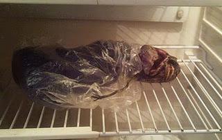 L’alieno in frigorifero