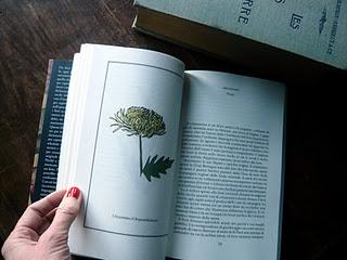 I messaggi segreti dei fiori di Mandy Kirby: libro in uscita il 17 novembre per Garzanti