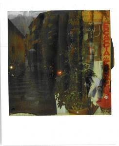 Polaroiders Fundraising for Levanto – 9th auction reminder
