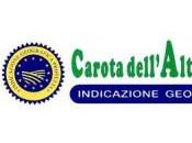 Carota dell’Altopiano Fucino