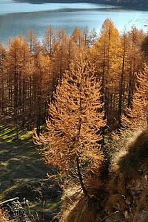 Giornata di fine autunno in Valle Antrona.