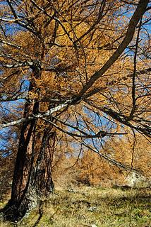 Giornata di fine autunno in Valle Antrona.