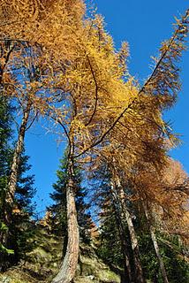 Giornata di fine autunno in Valle Antrona.