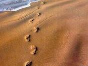 FOSSI FERMATO Costantino Posa