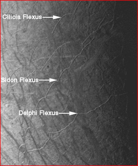 IL MAGNETISMO LUNARE E LE STORICHE CATASTROFI PLANETARIE