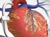 Oggi cuore pulsa Web; quando toccherà cervello?