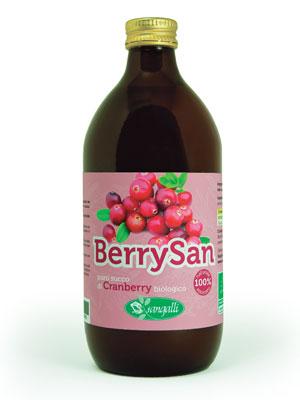 Il Cranberry, toccasana per le vie urinarie.