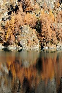 Colori del lago dell'alpe Cavalli.