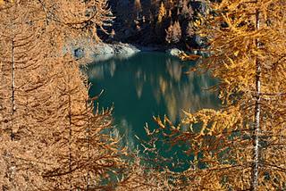 Colori del lago dell'alpe Cavalli.