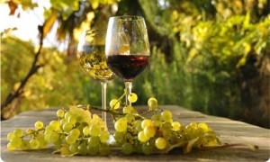 Il vino naturale lo si compra su Etica Vitis
