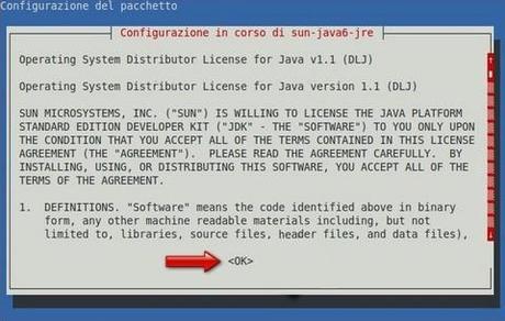 Java prima accettazione licenza