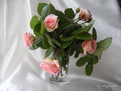 Rose del deserto, di Kim