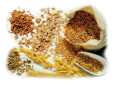 Ridurre il rischio del cancro al colon con i cereali integrali