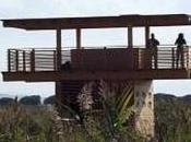 salvaguardia ambientale possibile. Firmato protocollo intesa Terna