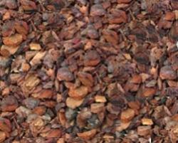 terriccio per orchidee