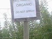 agricoltura biologica