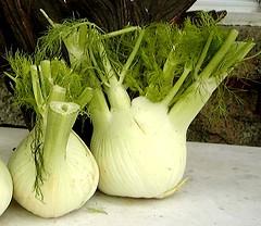 tisana finocchietto2