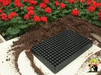 foto contenitore multiforo