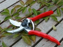 è bene utilizzare gli attrezzi giusti e ben puliti