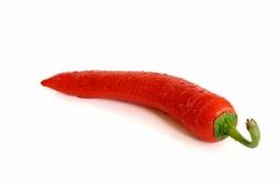 Peperoncino Peperoncino