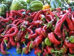 Peperoncino Peperoncino