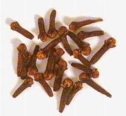 chiodi di garofano2