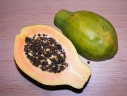 papaya1