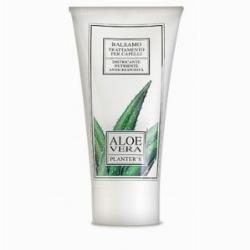 aloe per i capelli 4