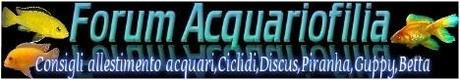Forum di acquariofilia
