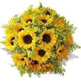 Fiori diploma girasoli