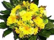 Fiori ringraziamenti