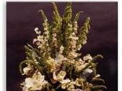 Composizioni fiori secchi