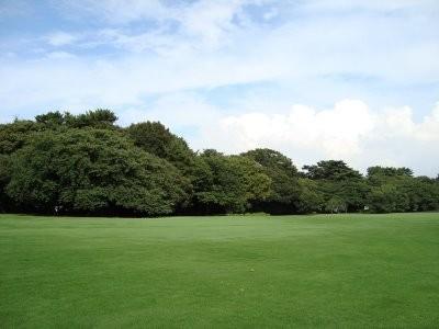 progettazione giardini all'inglese