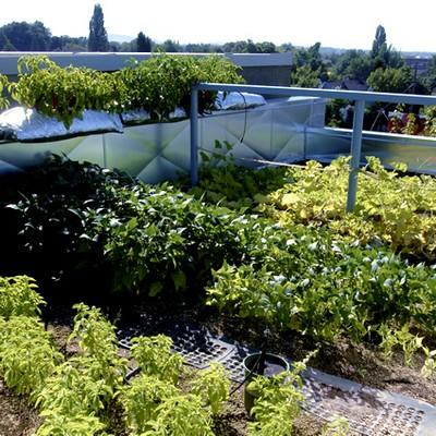 progettazione giardini pensili