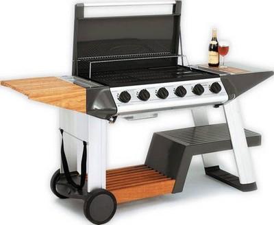 barbecue a gas barbecue
