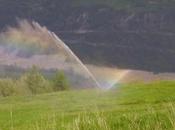 accessori irrigazione