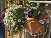 fioriere balcone