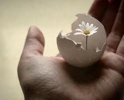 LA PAURA DI ESSERE ALTRO CHE NON SISTEMA