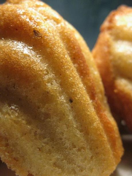 Le Madeleines speziate di Mammazan