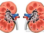 Trapianti traffico d'organi: soffio moralita' congresso medico