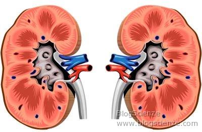 TRAPIANTI E TRAFFICO D'ORGANI: UN SOFFIO DI MORALITA' IN UN CONGRESSO MEDICO