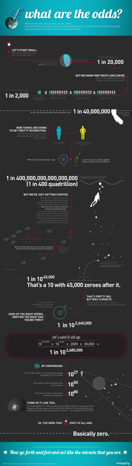 La probabilità che nasca qualcun altro nel mondo uguale a noi: un'infografica