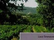 Recensione: Primavera Borgogna Luca Terenzoni