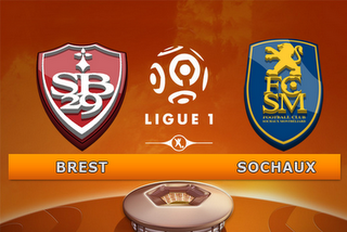 Ligue 1 – 14ª Giornata – 18-19-20 nov 2011