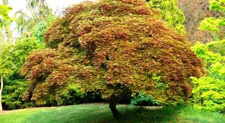 L’ambiente negli appuntamenti green settimanali!